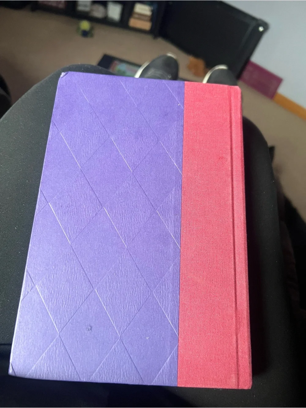 Harry Potter and the Sorcerer's Stone - Red Hardcover (Brand Unknown)